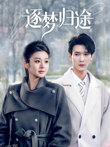 逐梦归途 海报