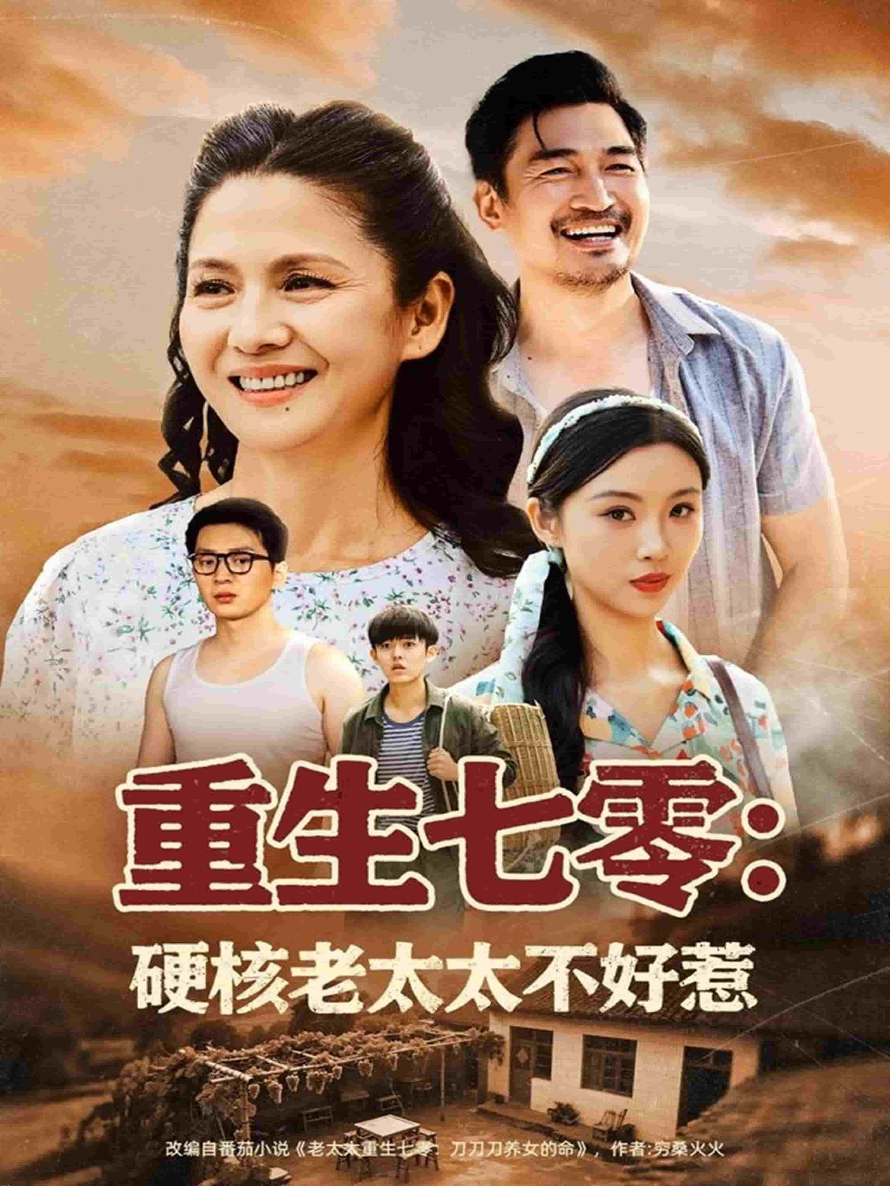 重生七零硬核老太太不好惹 海报