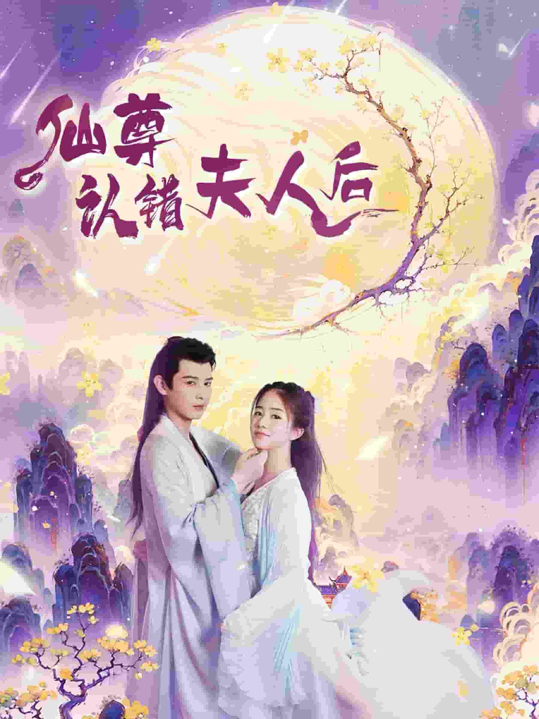 仙尊认错夫人后 海报