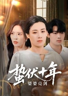 蛰伏十年婆婆亮剑 海报