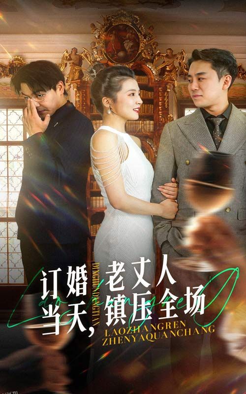 订婚当天，老丈人镇压全场 海报