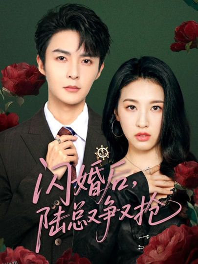 闪婚后陆总又争又抢 海报