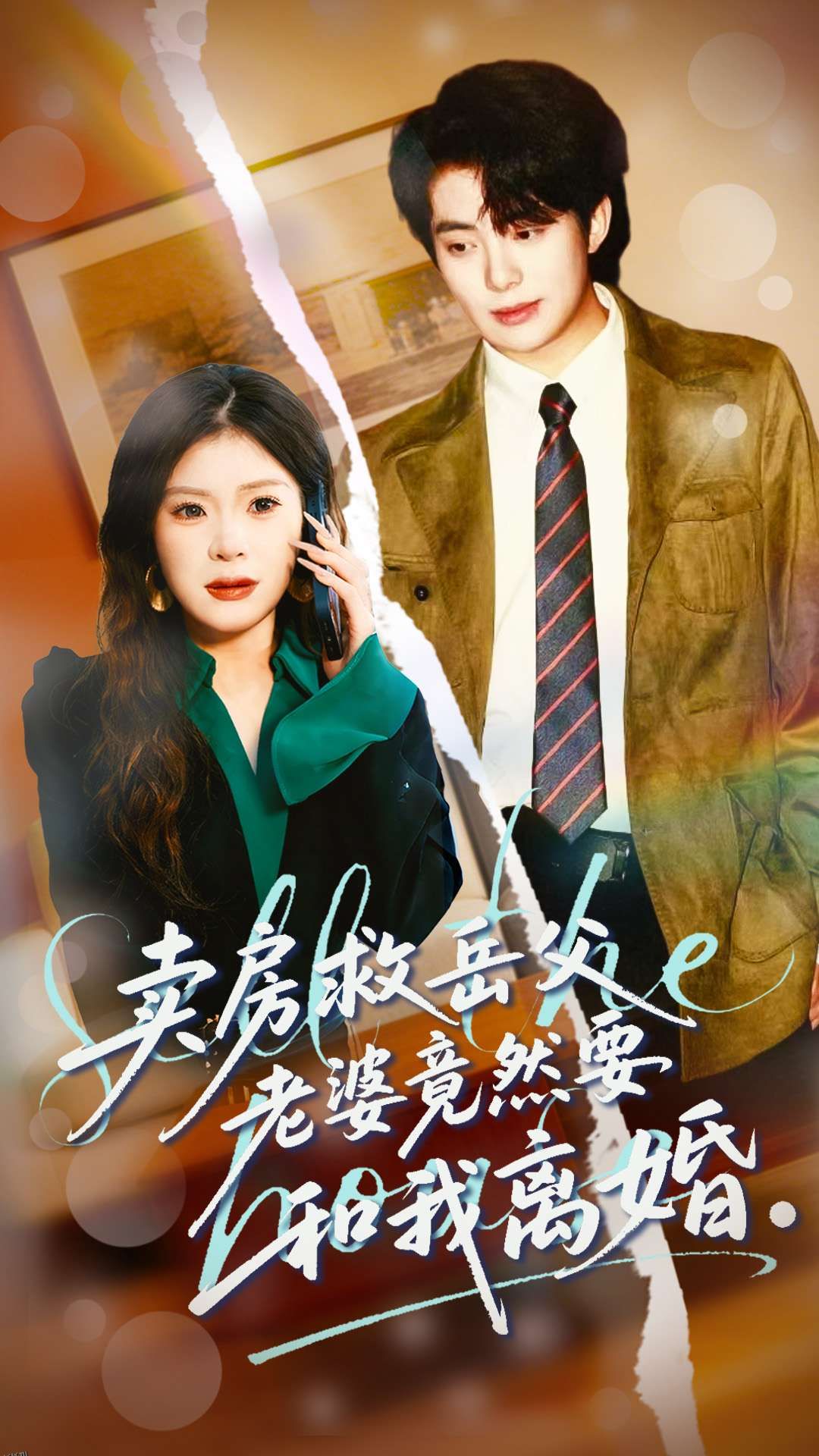 卖房救岳父，老婆竟然要和我离婚 海报