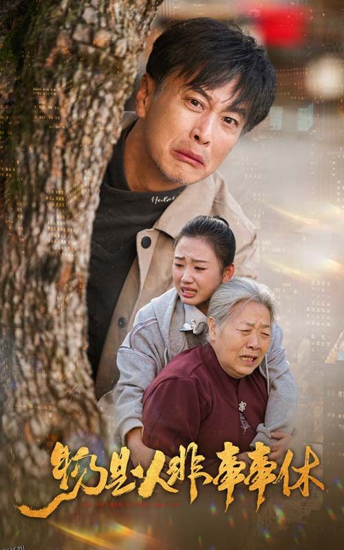 物是人非事事休 海报