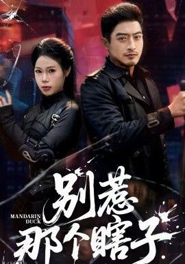 别惹那个瞎子 海报