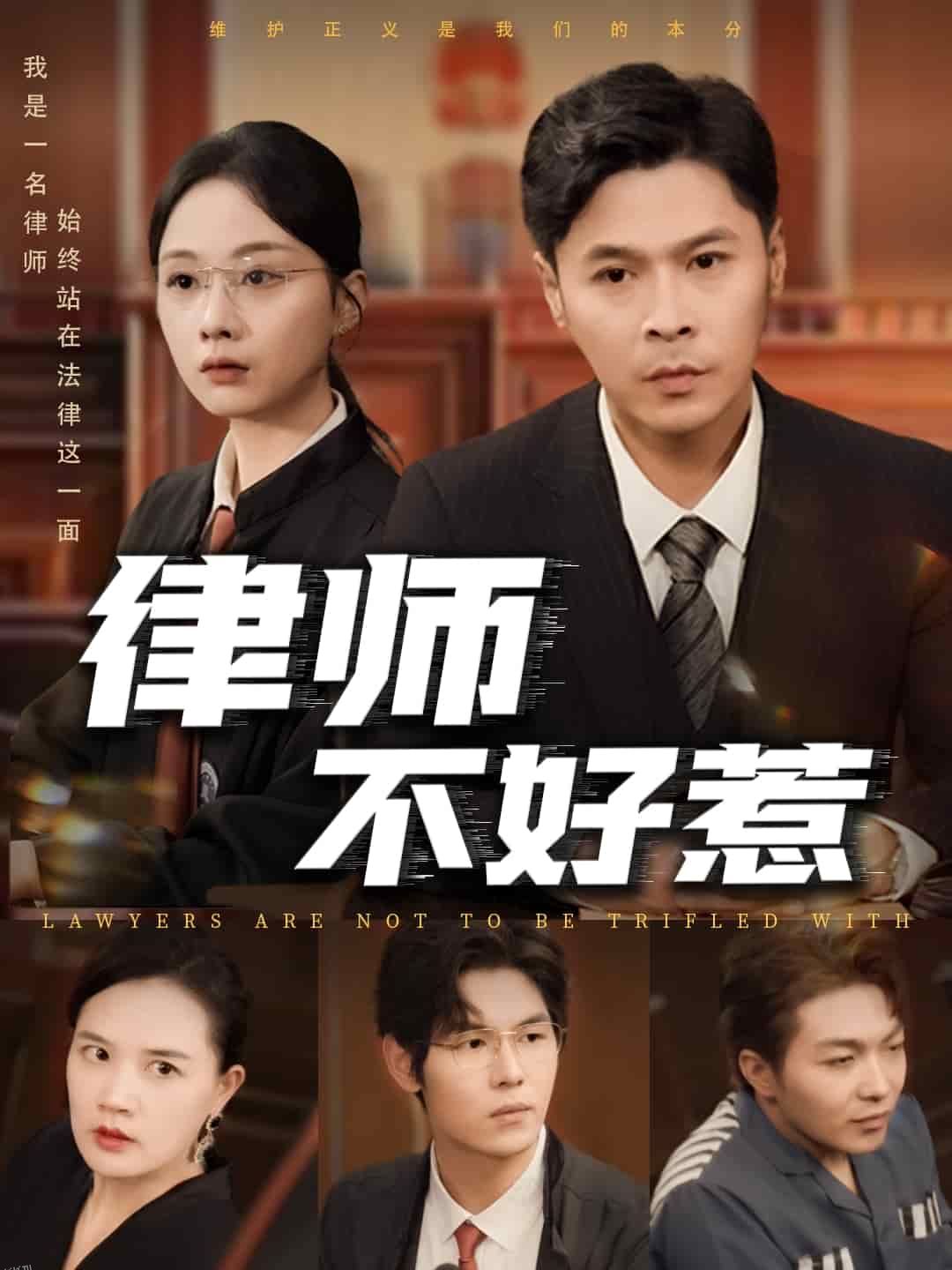 律师不好惹 海报