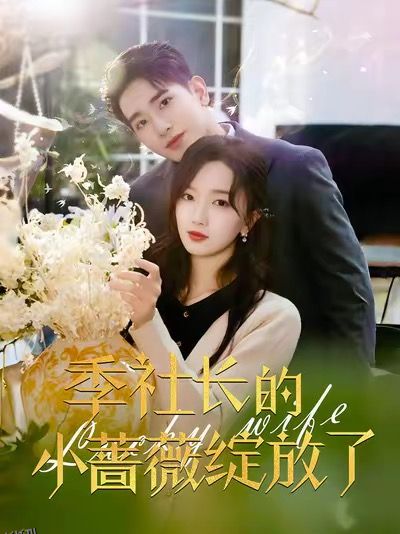 季社长的小蔷薇绽放了 海报