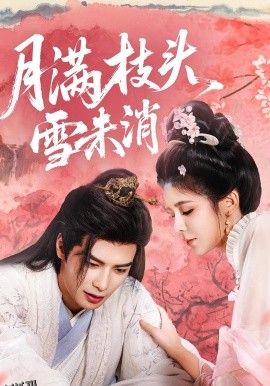 月满枝头雪未消 海报