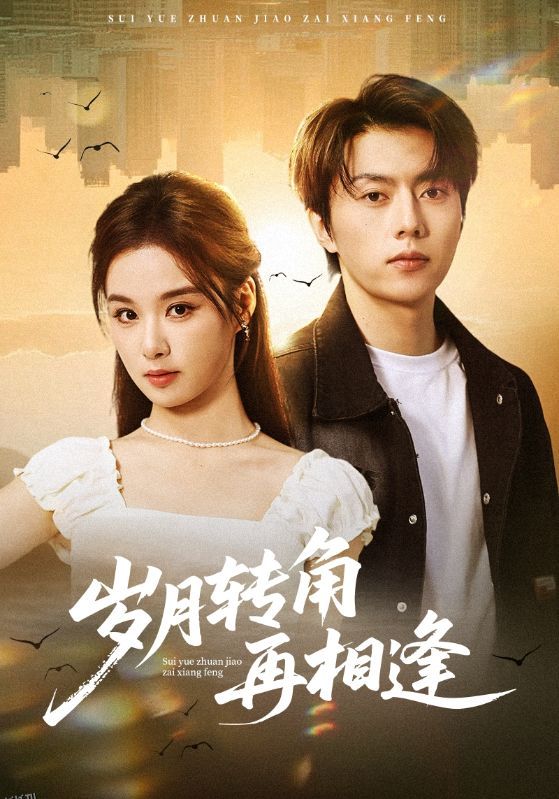 岁月转角再相逢 海报