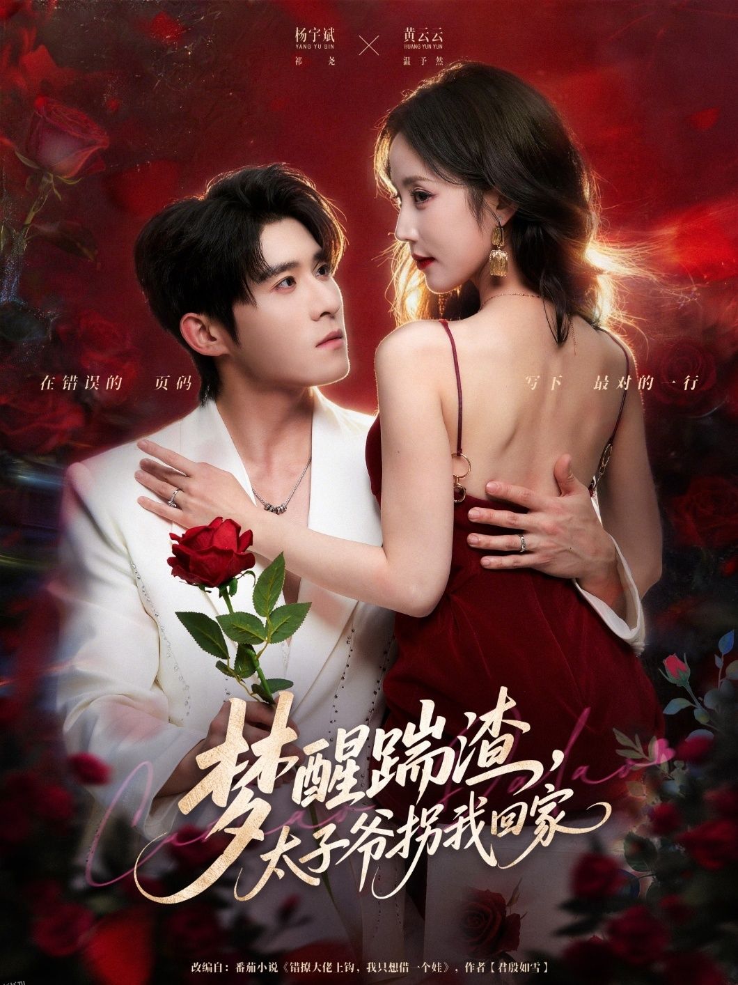 梦醒踹渣，太子爷拐我回家 海报