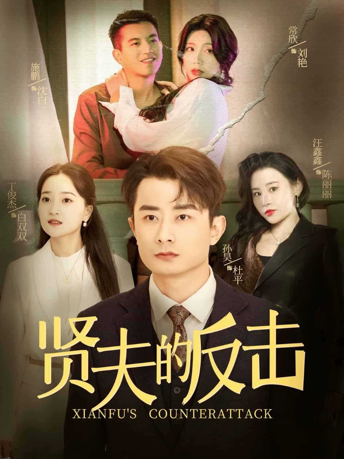 贤夫的反击 海报