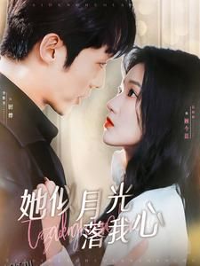 她似月光落我心 海报