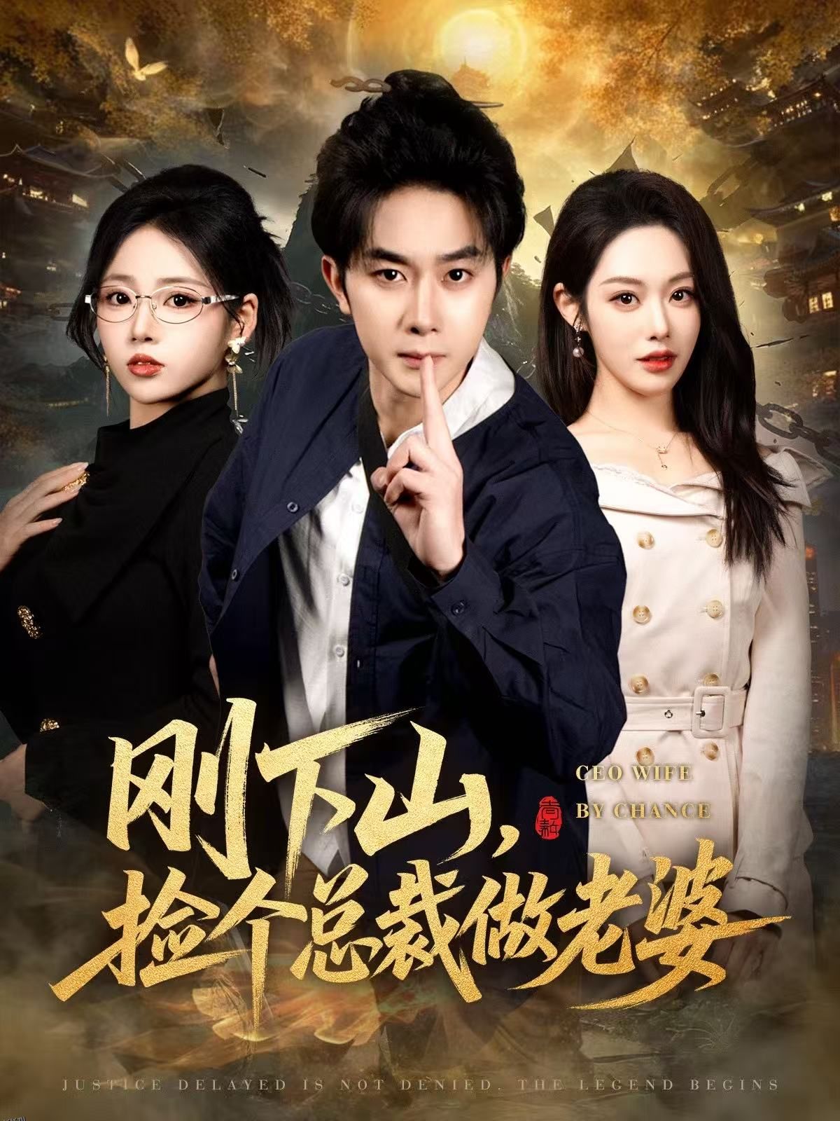 刚下山捡个总裁做老婆 海报