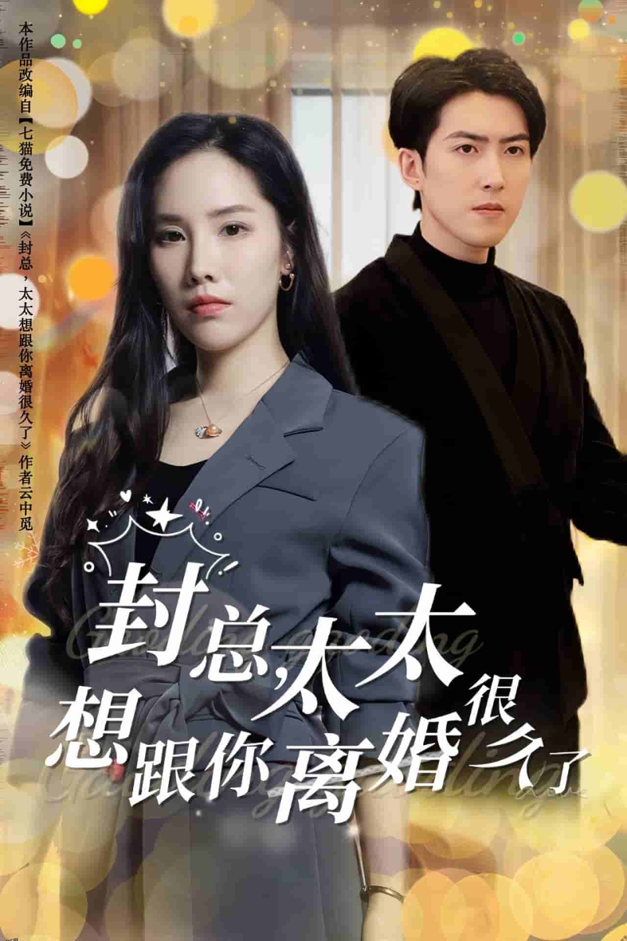 封总太太想跟你离婚很久了 海报