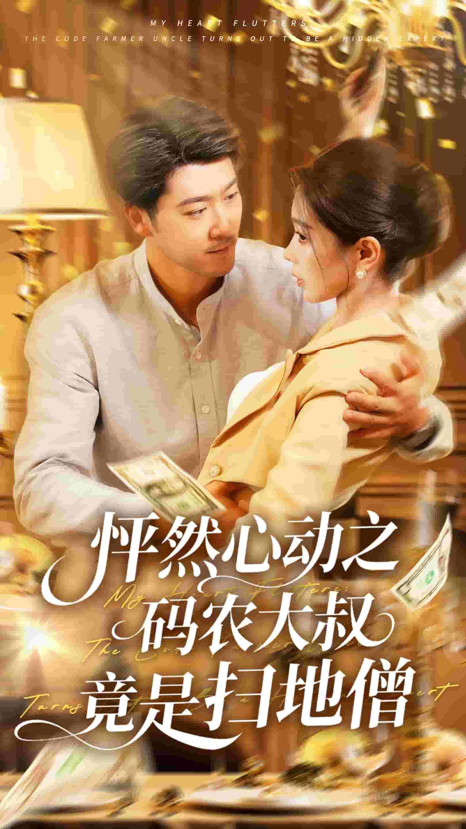 怦然心动之码农大叔竟是扫地僧 海报