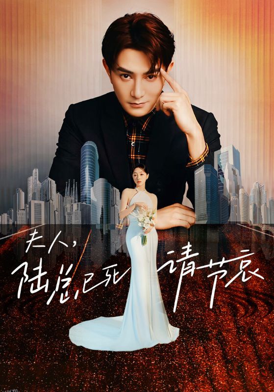 夫人，陆总已死请节哀 海报