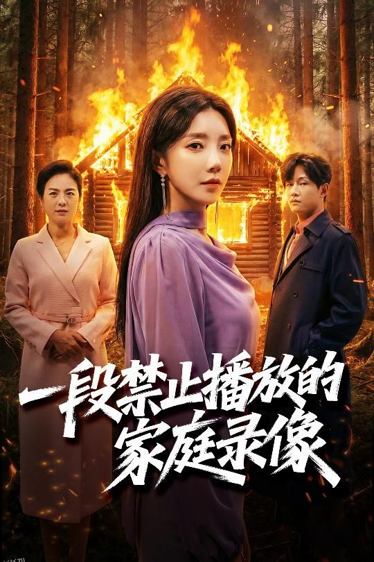 一段禁止播放的家庭录像 海报