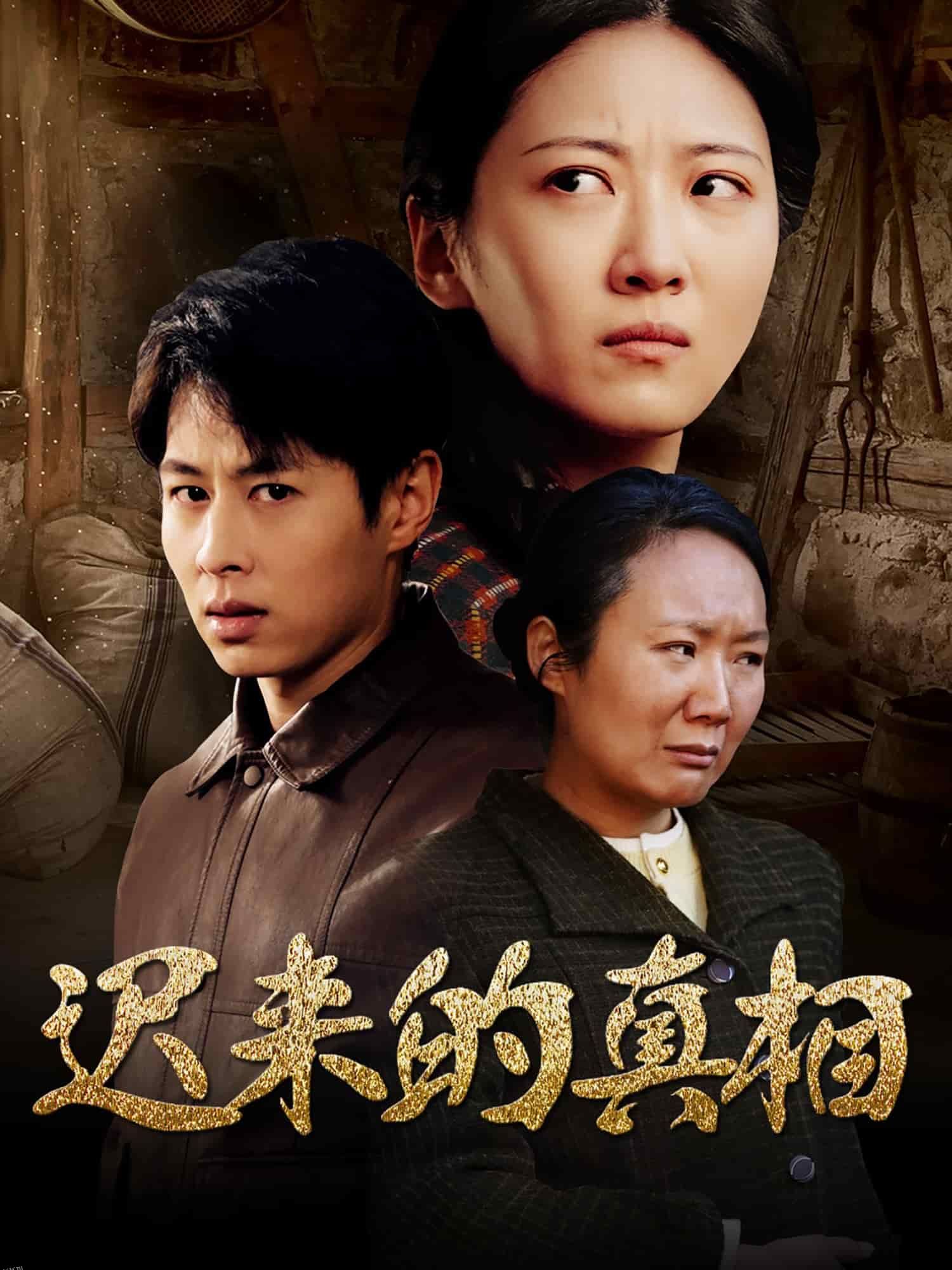 迟来的真相 海报