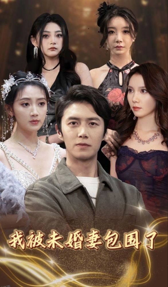 我被未婚妻包围了 海报