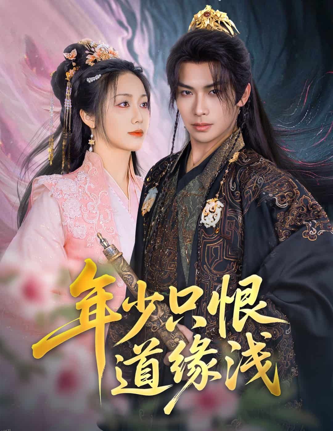 年少只恨道缘浅 海报