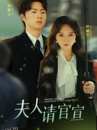 夫人请官宣 海报