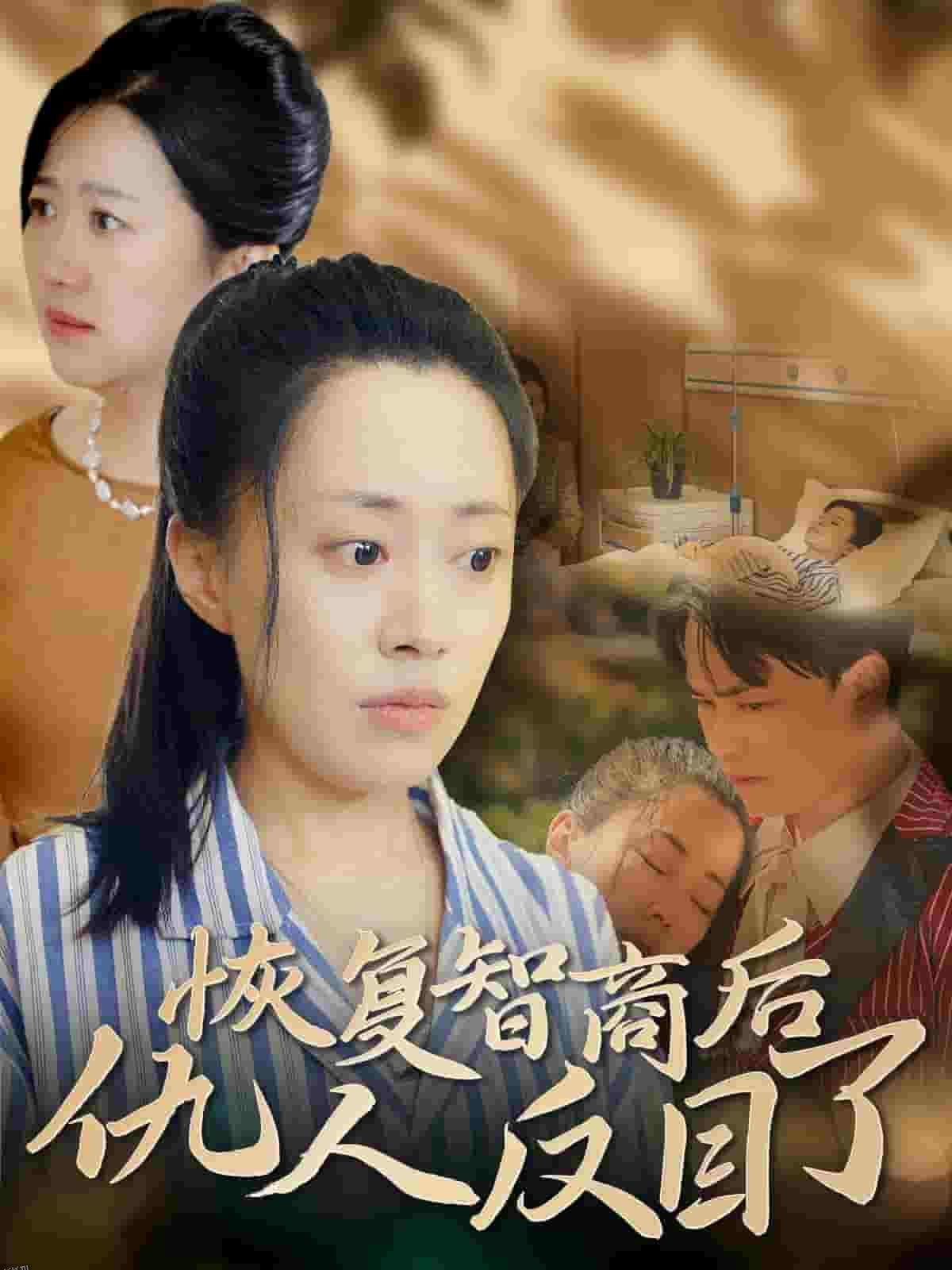 恢复智商后仇人反目了 海报