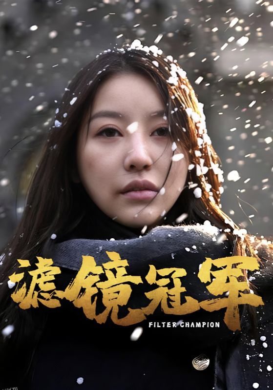 滤镜冠军 海报