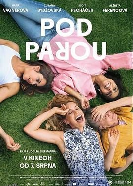 酒精计划2025 高清海报