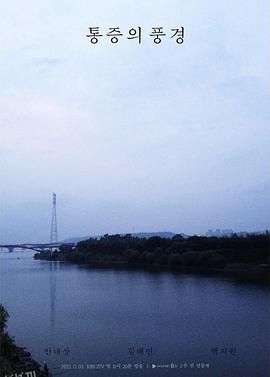 疼痛的风景[电影解说] 海报