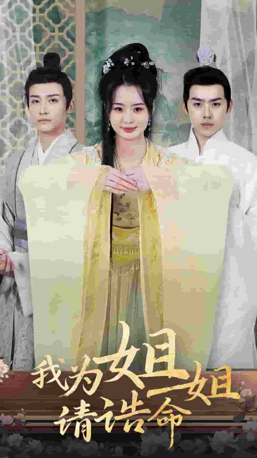 我为姐姐请诰命 海报