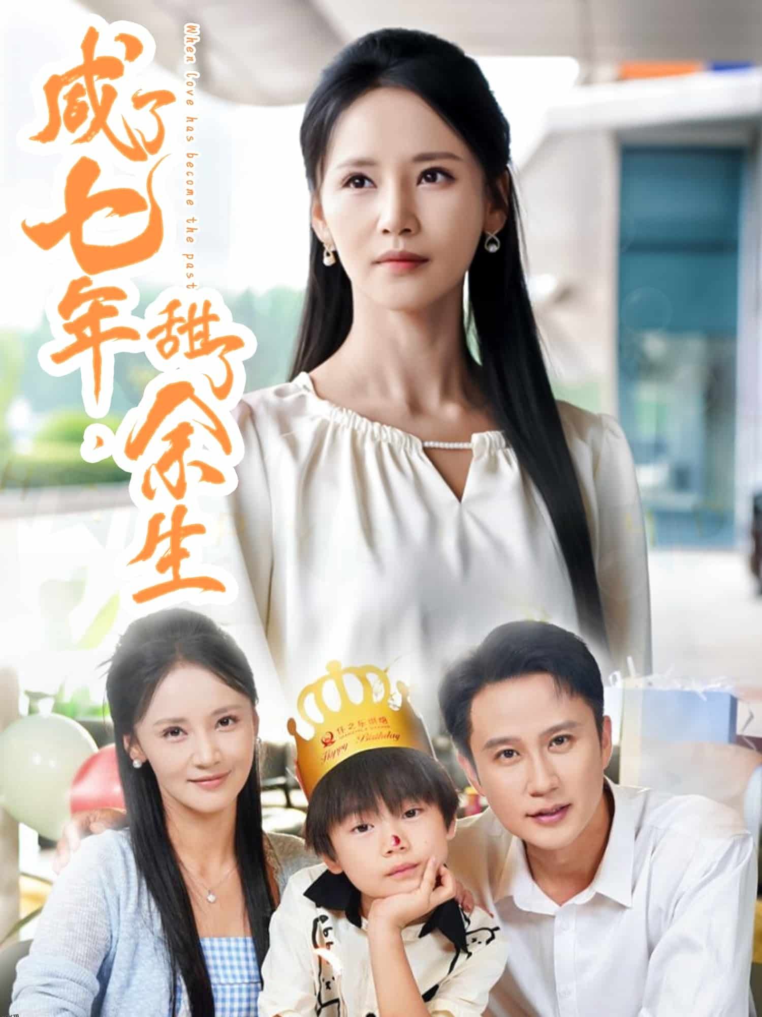 咸了七年甜了余生 海报