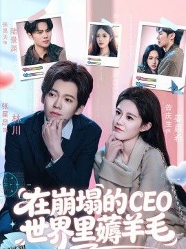 在崩塌的CEO世界里薅羊毛 海报