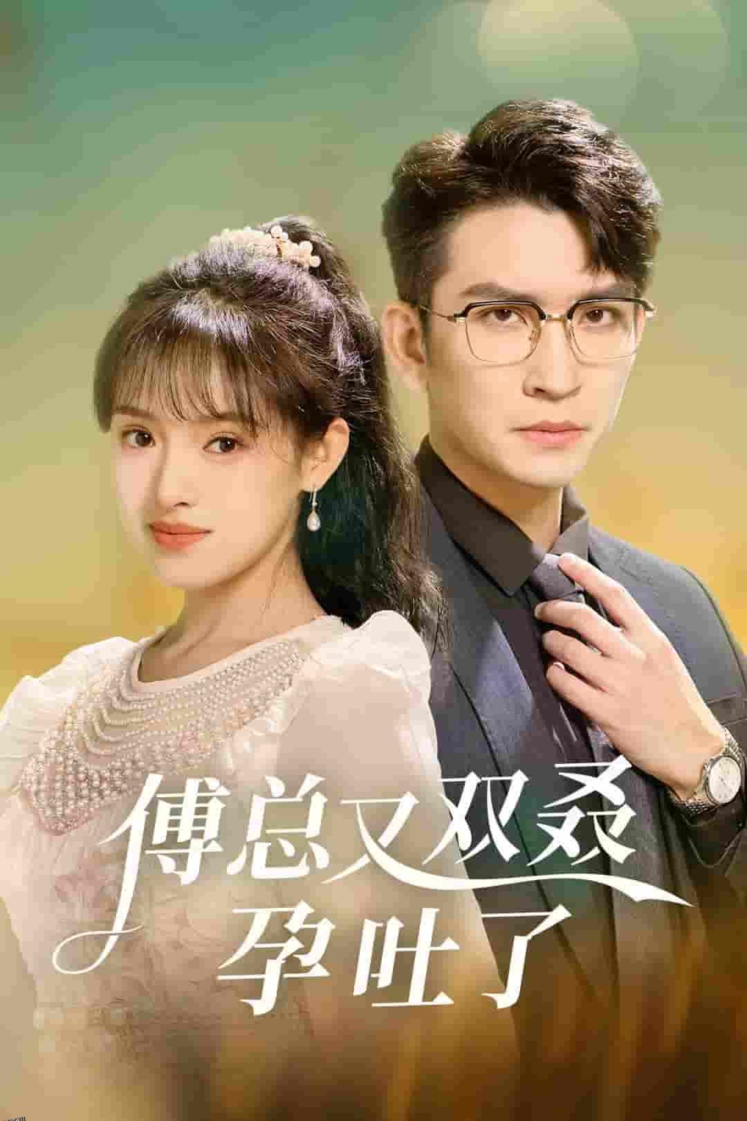 傅总又双叒孕吐了 海报