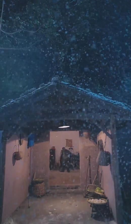 春雪落无声 海报