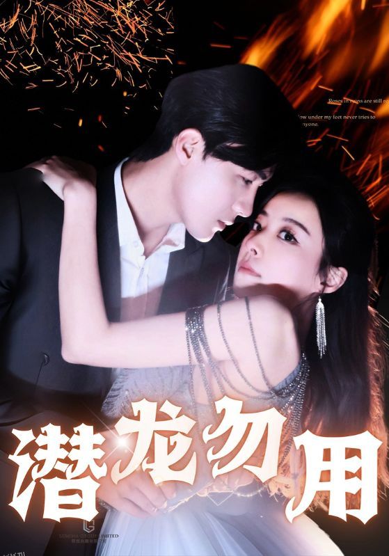 潜龙勿用 高清海报