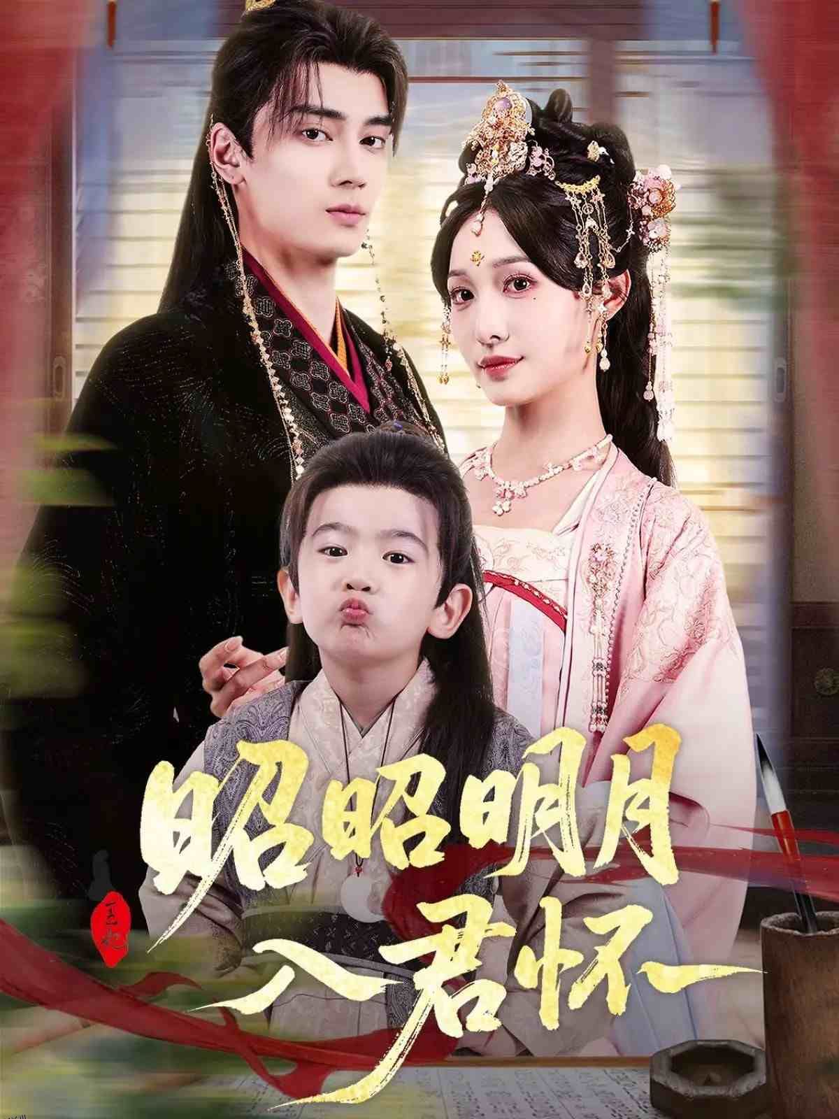 昭昭明月入君怀 海报