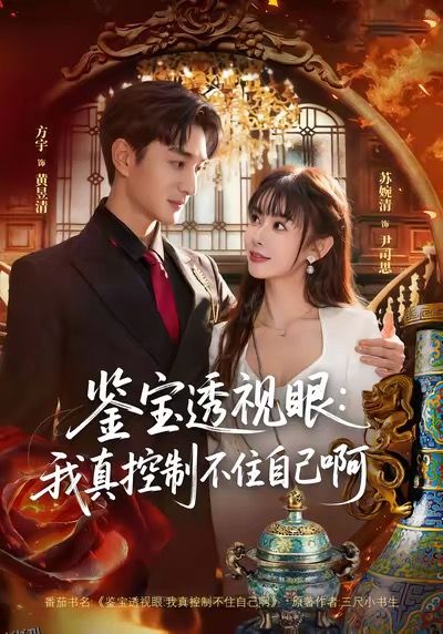 鉴宝透视眼：我真控制不住自己啊 海报