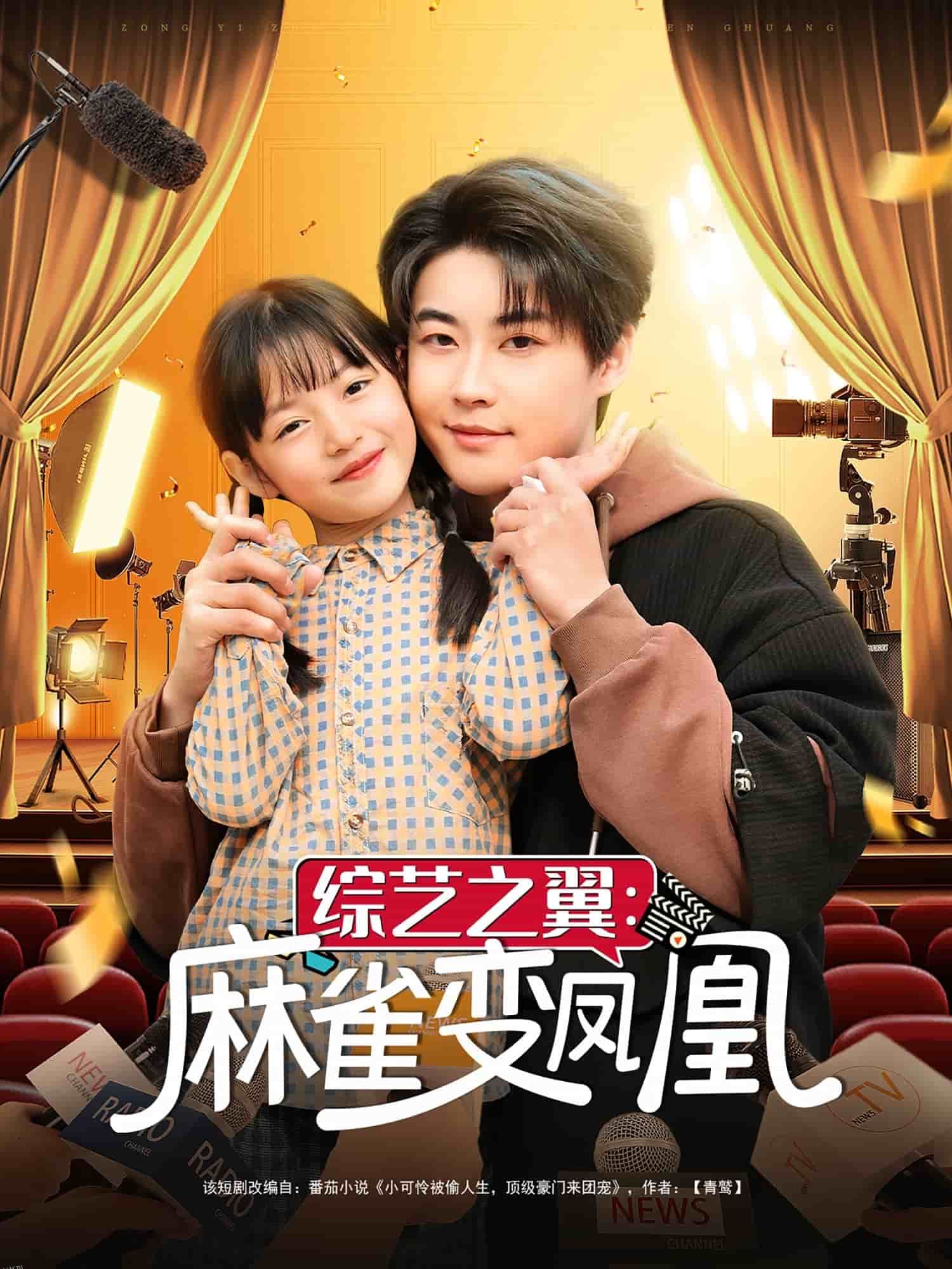 综艺之翼麻雀变凤凰 海报