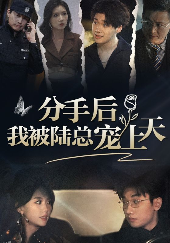 分手后，我被陆总宠上天 海报