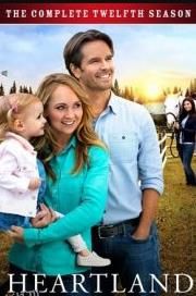 心灵之地第十二季 海报