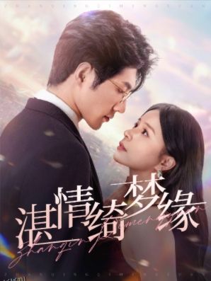 湛情琦梦缘 海报