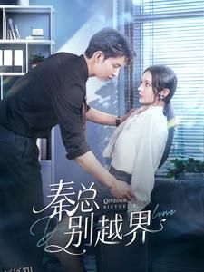 秦总别越界 海报