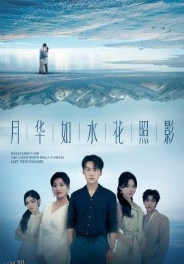 月华如水花照影 海报