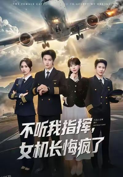 不听我指挥，女机长悔疯了 海报