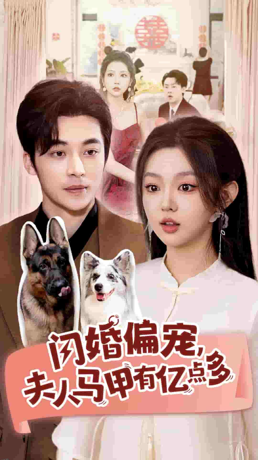 闪婚偏宠夫人马甲有亿点多 海报