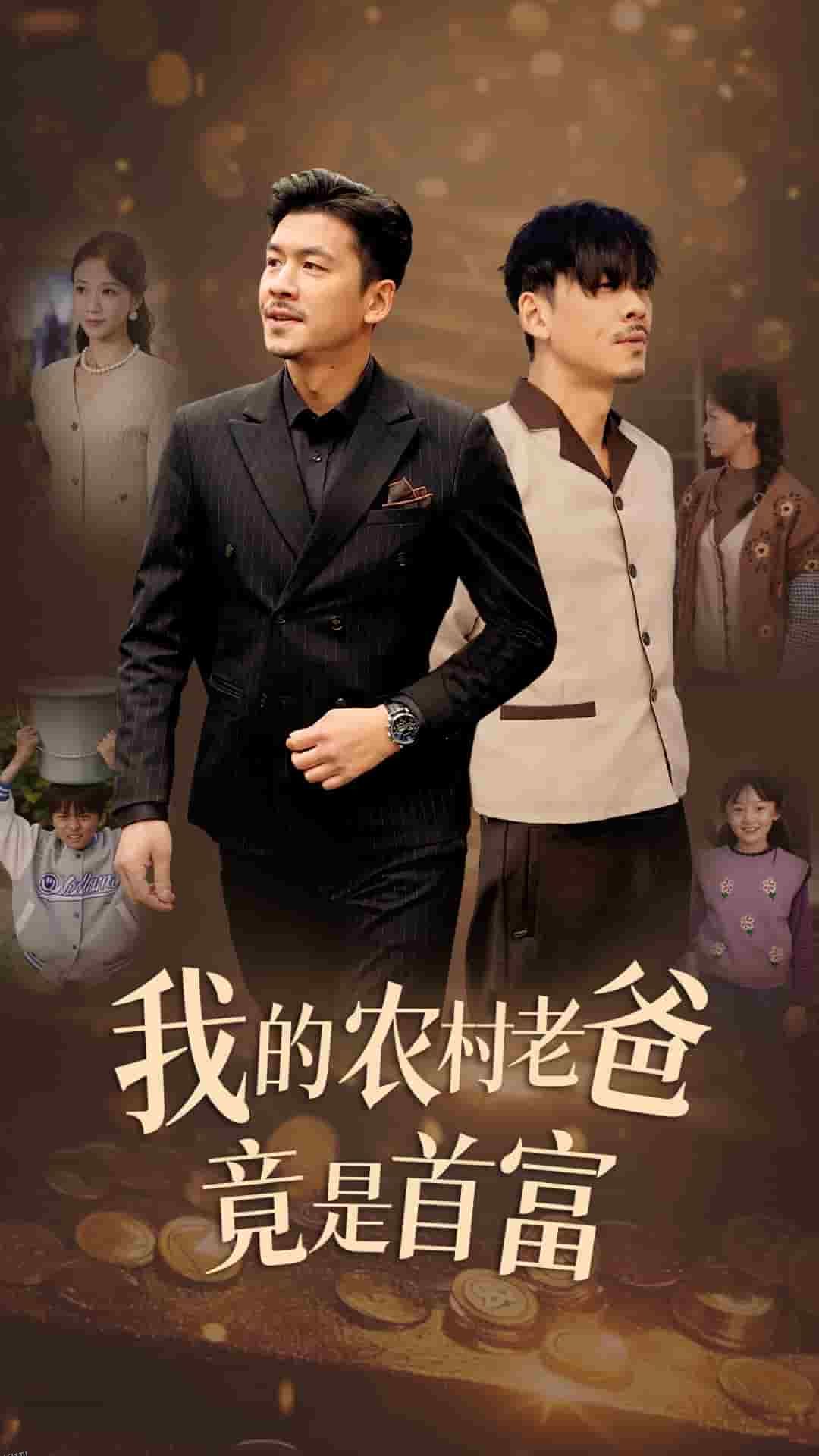 我的农村老爸竟是首富 海报