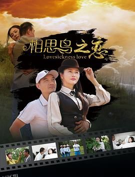 相思鸟之恋[电影解说] 海报