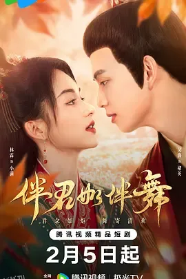 伴君如伴舞 海报