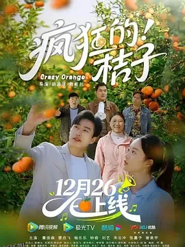 疯狂的桔子 海报