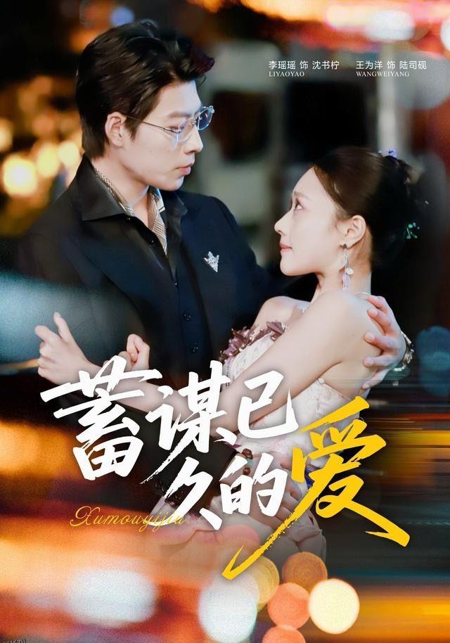 蓄谋已久的爱 海报